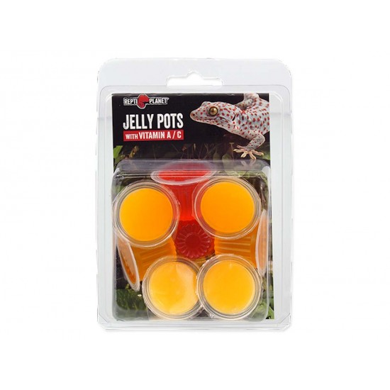 Repti Planet Jelly Pot 8 db bogárzselé csomag