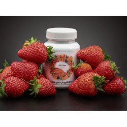 Dr. Rhaco Strawberry eper-banán vitorlás és nappaligekkó táp - 100g