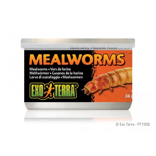 ExoTerra Mealworms lisztkukac konzerv