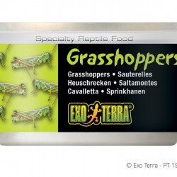 ExoTerra Grasshoppers szöcske