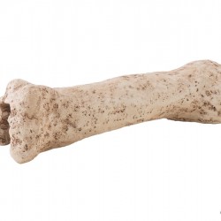 ExoTerra Dinosaur Bone dinoszaurusz csont búvóhely S - 6x19x6 cm