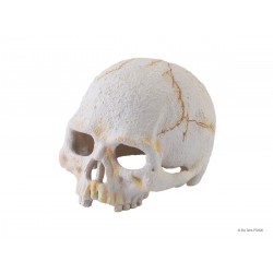 ExoTerra Primate Skull koponya S - 10x7x8 cm