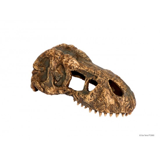 ExoTerra T-Rex Skull S dinoszaurusz koponya - 7x15x6 cm