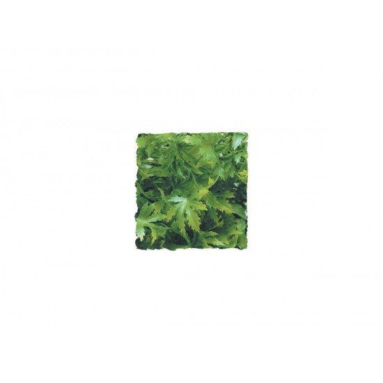 Zoomed Cannabis 36 cm műnövény