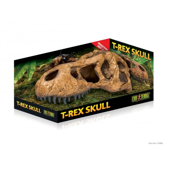 ExoTerra T-Rex Skull dinoszaurusz koponya