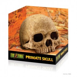 ExoTerra Primate Skull koponya