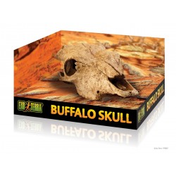 ExoTerra Buffalo Skull bölénykoponya
