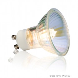 Exoterra Sun Glo Halogen Daylight Lamp 35W melegítő izzó GU10 foglalatba